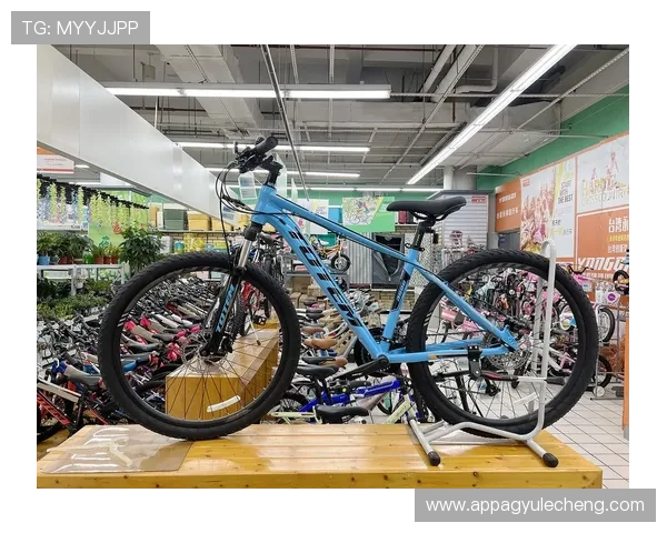 全面解析ag旗舰厅与国际厅的不同特点及适合人群，助你做出明智选择